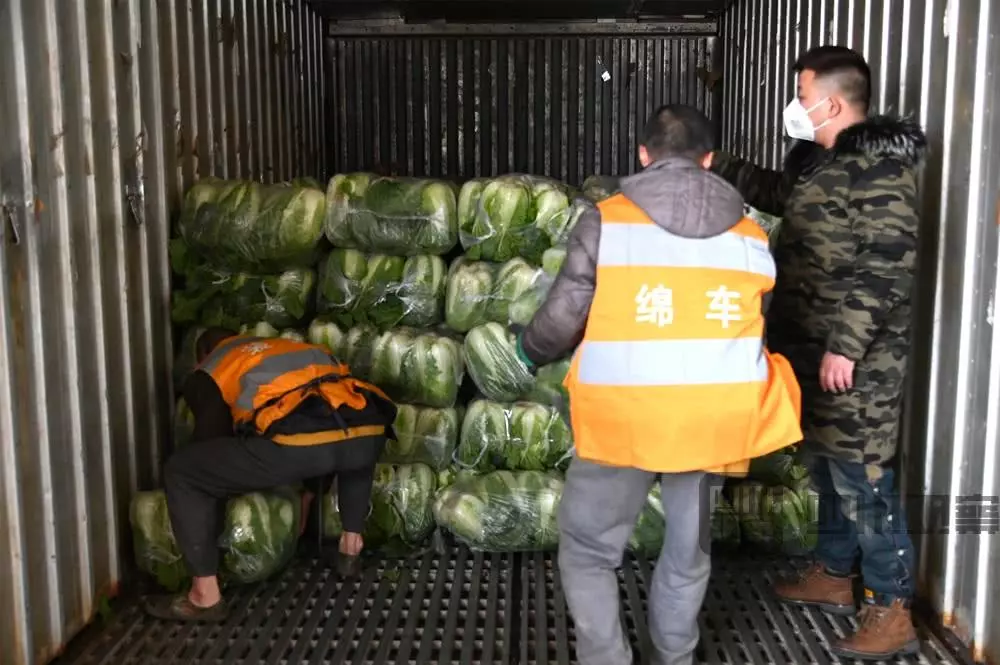 大班社會教案 | 《與新型冠狀病毒戰斗的人們》